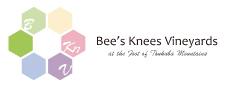 bee's knees