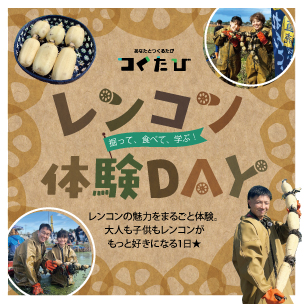 掘って、食べて、学ぶ！『レンコン体験DAY』